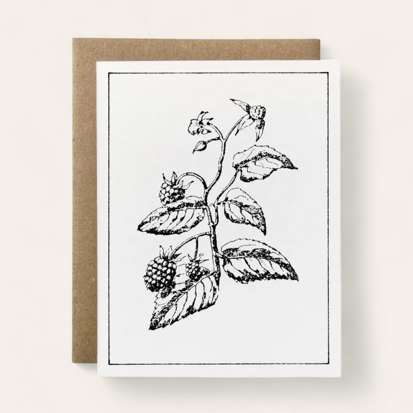 100% Recycled B&W Botanical Card - Blackberry Plant