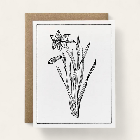 Daffodil Flower: Package-free 100% Recycled B&W Botanical Greeting Card