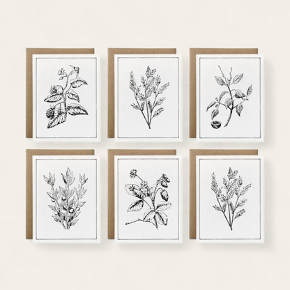 Botanicals Card Collection, Set of 6 (100% Recycled)