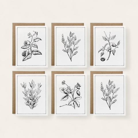 Botanicals Card Collection, Set of 6 (100% Recycled)