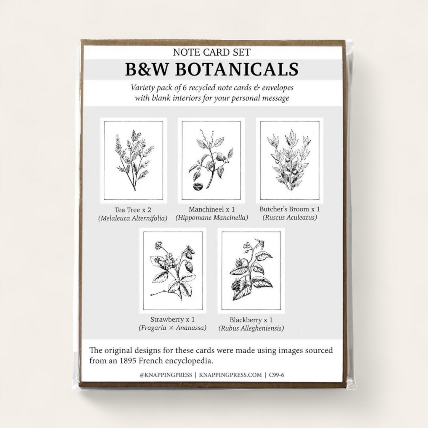 Botanicals Card Collection, Set of 6 (100% Recycled)