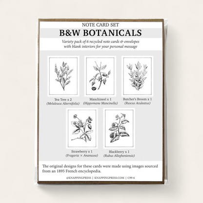 Botanicals Card Collection, Set of 6 (100% Recycled)
