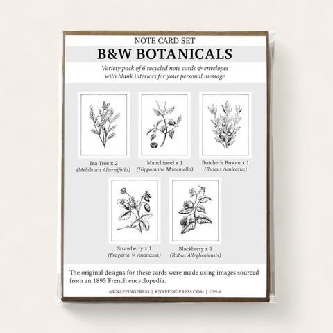 Botanicals Card Collection, Set of 6 (100% Recycled)