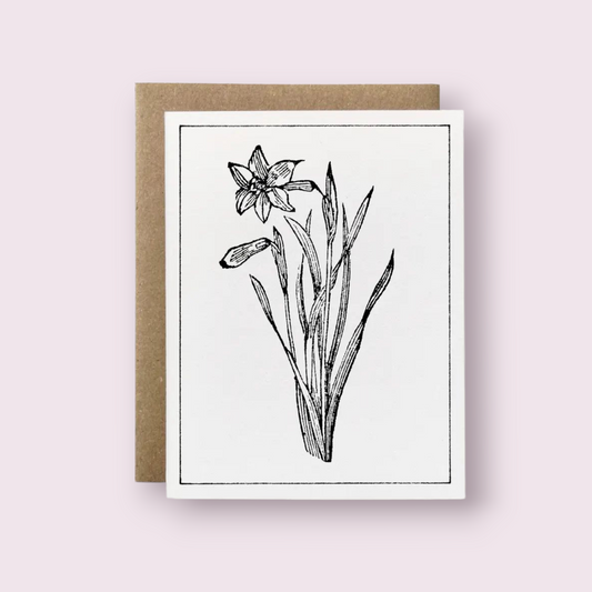 100% Recycled B&W Botanical Card - Daffodil Flower: Package-free