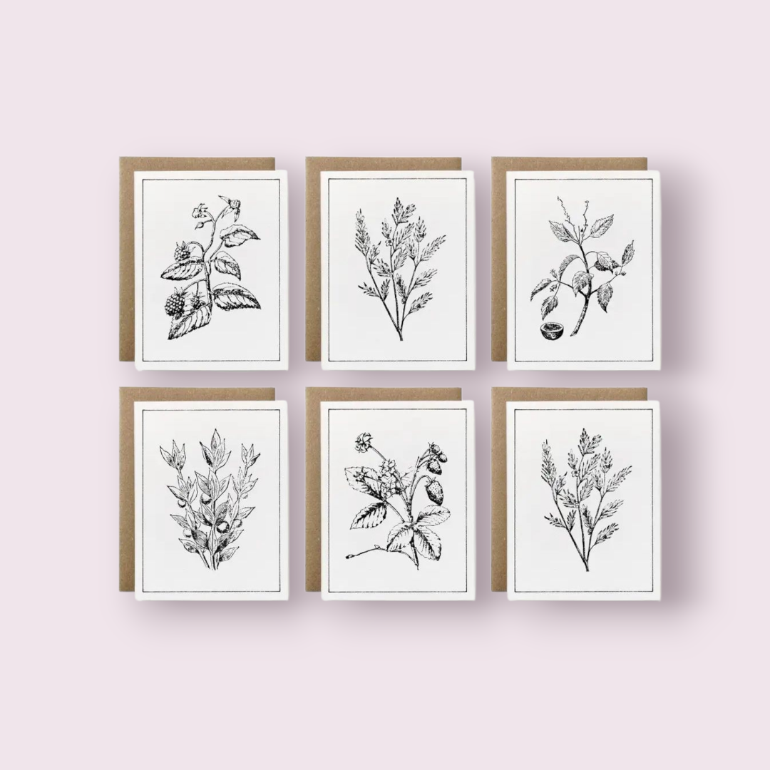 Botanicals Card Collection, Set of 6 (100% Recycled)