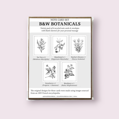Botanicals Card Collection, Set of 6 (100% Recycled)
