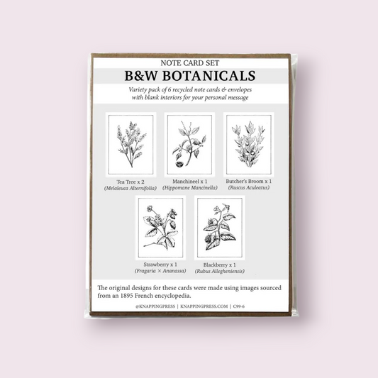 Botanicals Card Collection, Set of 6 (100% Recycled)