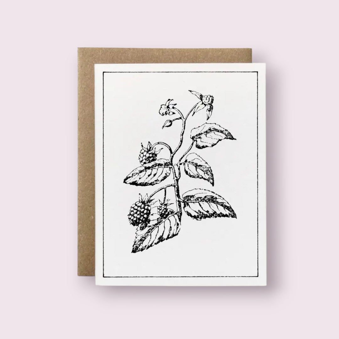 100% Recycled B&W Botanical Card - Blackberry Plant: Package-free
