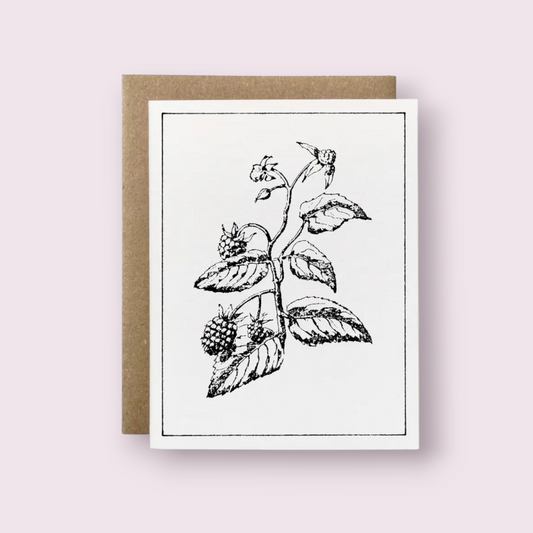 100% Recycled B&W Botanical Card - Blackberry Plant: Package-free